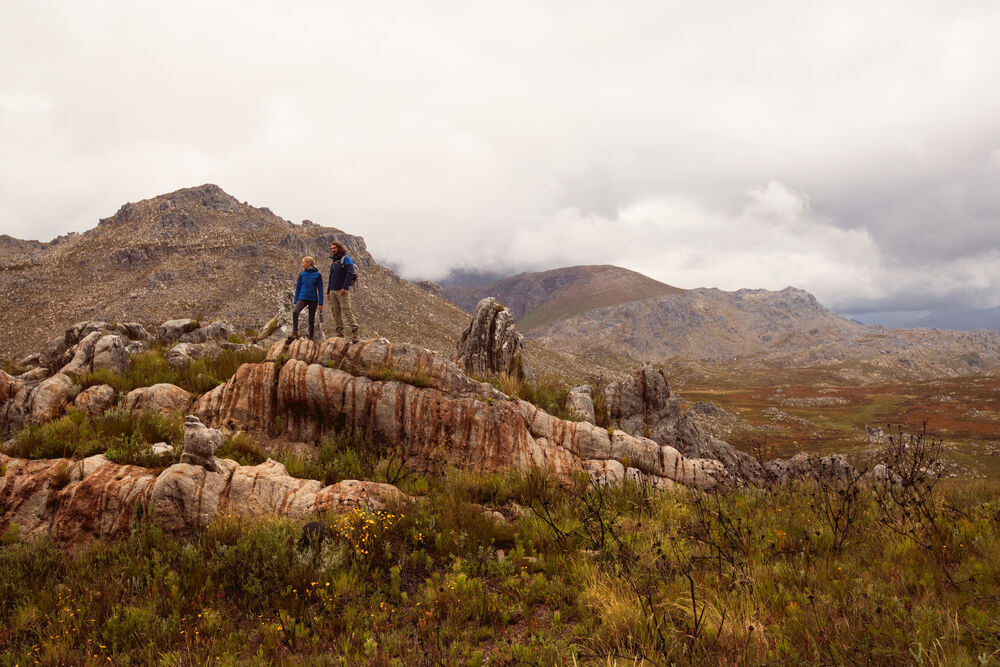 Prime Softshell från Printer PRIME