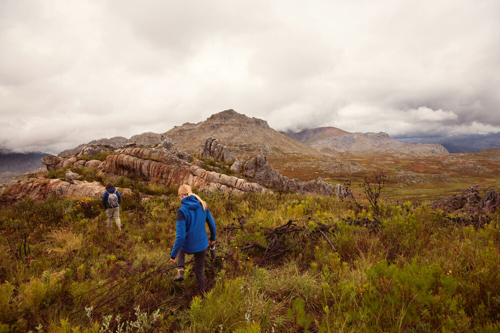 Prime Softshell Lady från Printer PRIME