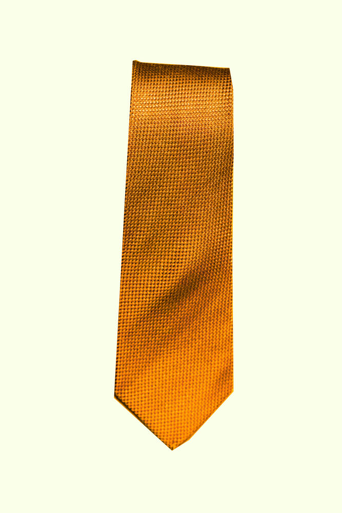 Tie Silk Oxford 2910300